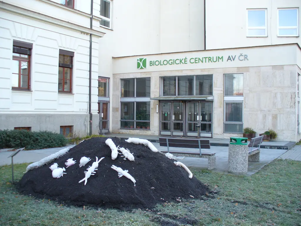 Význam půdy pro naši planetu