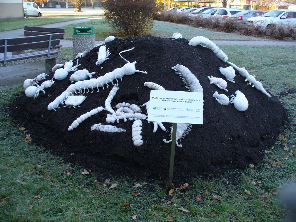 Význam půdy pro naši planetu