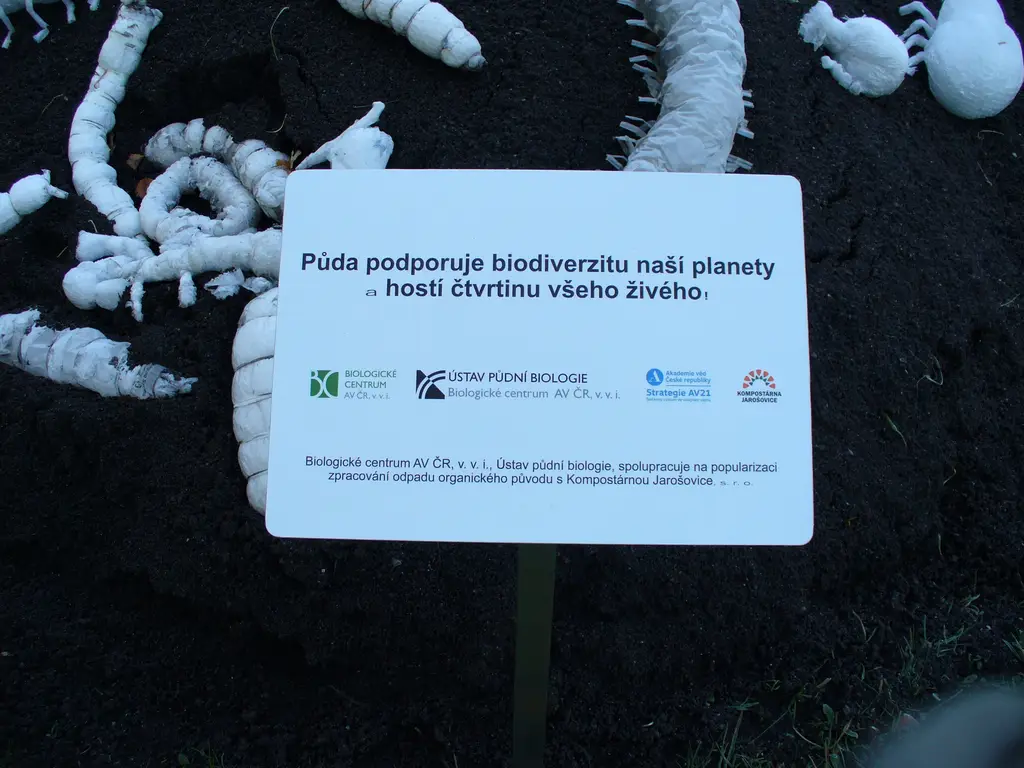 Význam půdy pro naši planetu